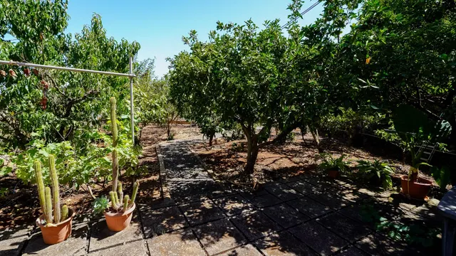 CASA REFORMADA CON AMPLIO TERRENO EN LA SOLANA, SAN MATEO — 11