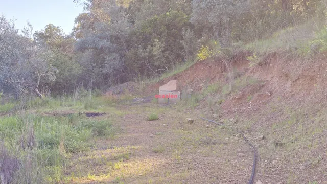 CHALET EN VENTA EN EL PUERTO CALATRAVEÑO — 6