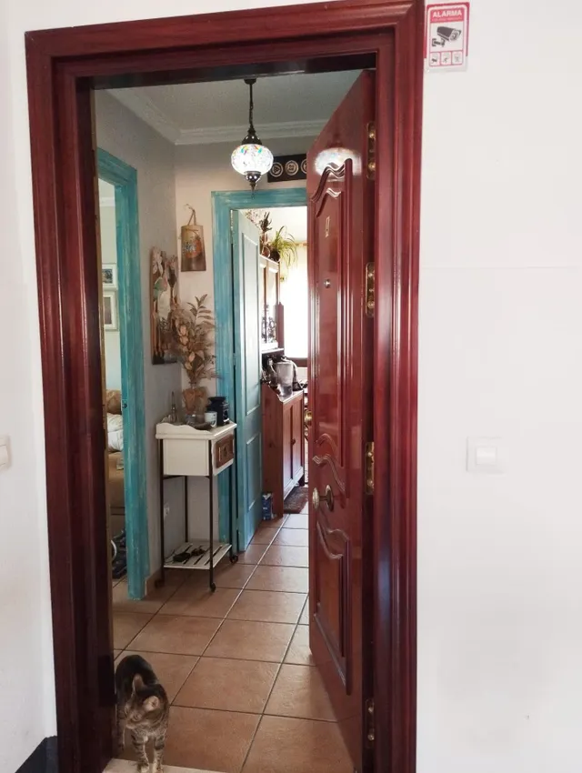 Se vende piso en Puerto Real , zona rio san pedro — 13