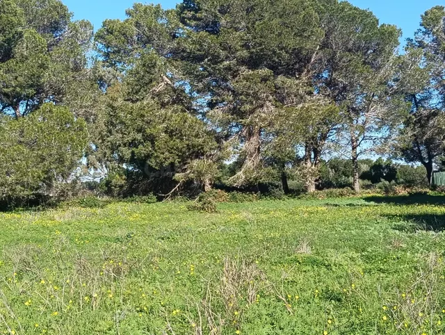 Parcela en Venta en El Pinar de los Franceses