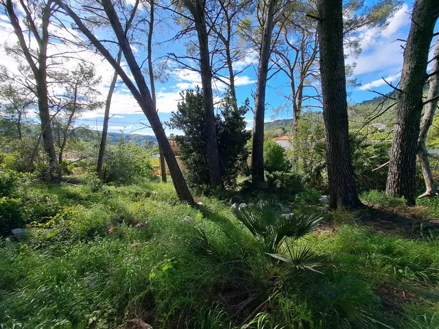 CASA RUSTICA CON TERRENO — 10