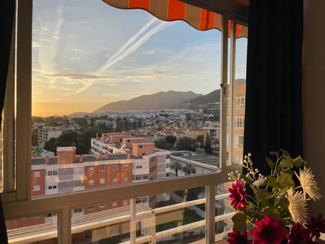 Estudio 29m² en alquiler - La leala - el saltillo - foto 4