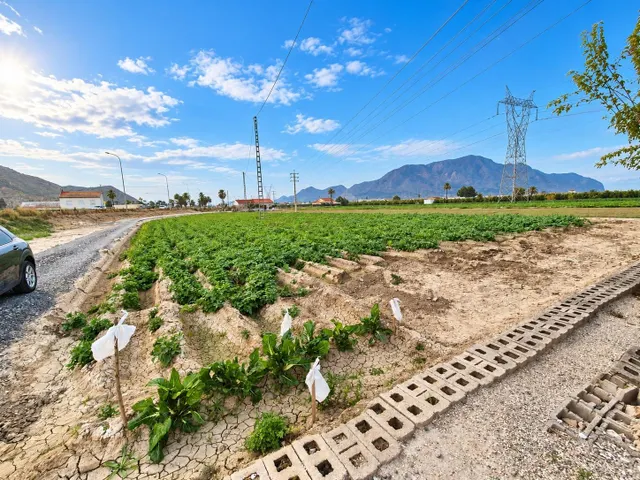 ¡Vendo Chalet en la Huerta de Orihuela Ciudad! — 6