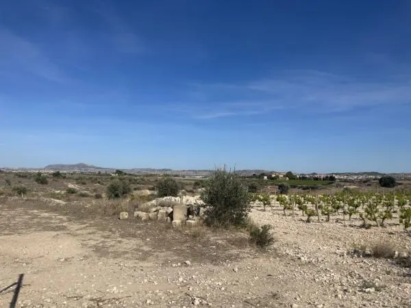 Parcela de terreno — 5