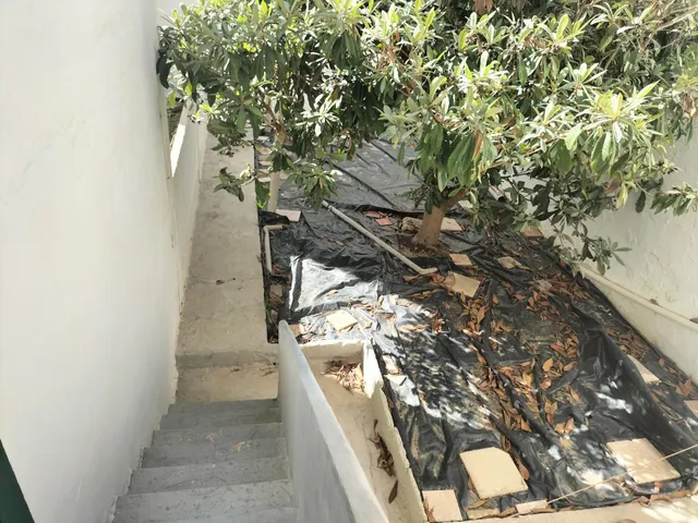 Planta baja con patio — 10