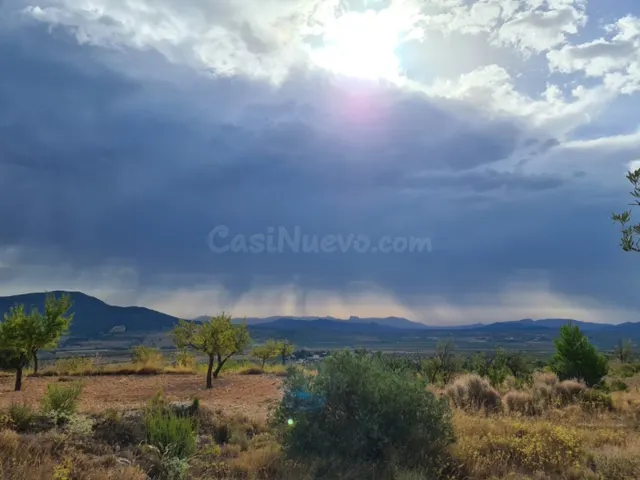Parcela en Pinoso - foto 3