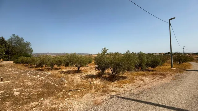 CASA DE CAMPO EN CORVERA CON 5.400 M2 DE PARCELA — 25