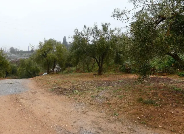 Finca rústica en Peligros – Ideal inversión o explotación agrícola — 21