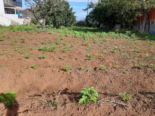 SOLAR URBANO CON FINCA RUSTICA — 14