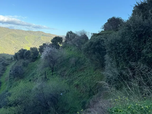 Finca rústica en zona alta de Marbella con vistas y servicios — 19
