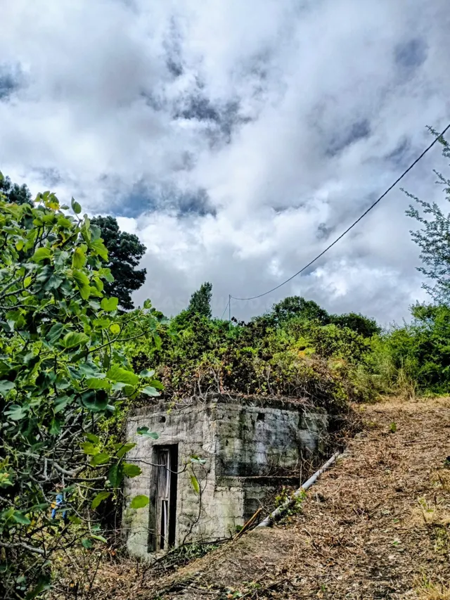 ¿Buscas un rincón con alma en Icod de los Vinos donde constr