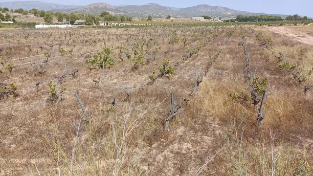 SE VENDE PARCELA DE 12.000 MTS. / POSIBILIDAD DE CONSTRUIR — 4