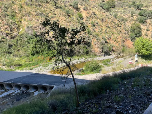Se vende parcela rústica en los Montes de Málaga, junto a la carretera — 11