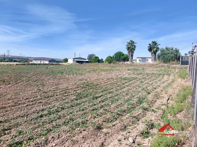 Terreno rural en Casillas (Carretera del Aeropuerto) con múl - foto 2