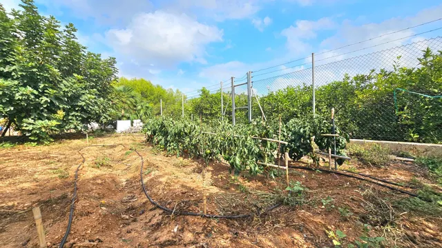 Encanto rural, tranquilidad y naturaleza en Les Coves (Corbera) — 19