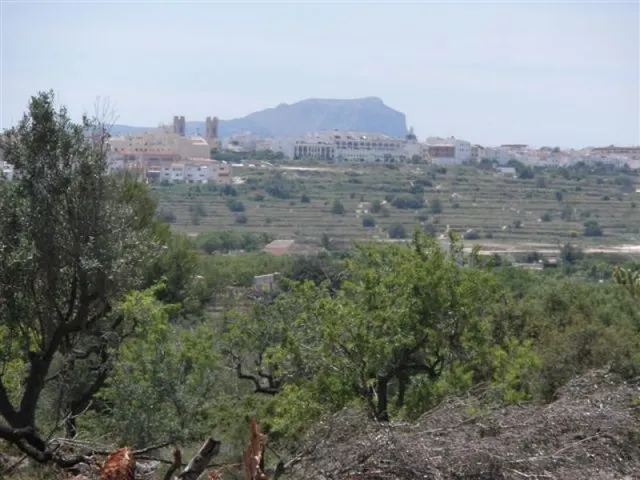 Parcela Rústica apta para la construcción de una vivienda unifamiliar en 2 plantas — 7
