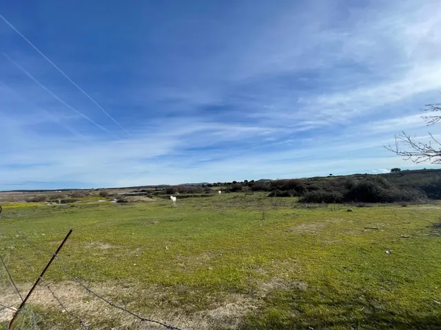TERRENO DE 30 HECTÁREAS CON VIVIENDA DE UNOS 50 METROS ENTRE CÁCERES Y MALPARTIDA DE CÁCERES — 18