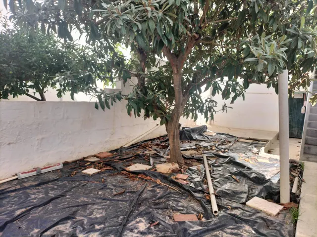 Planta baja con patio — 8