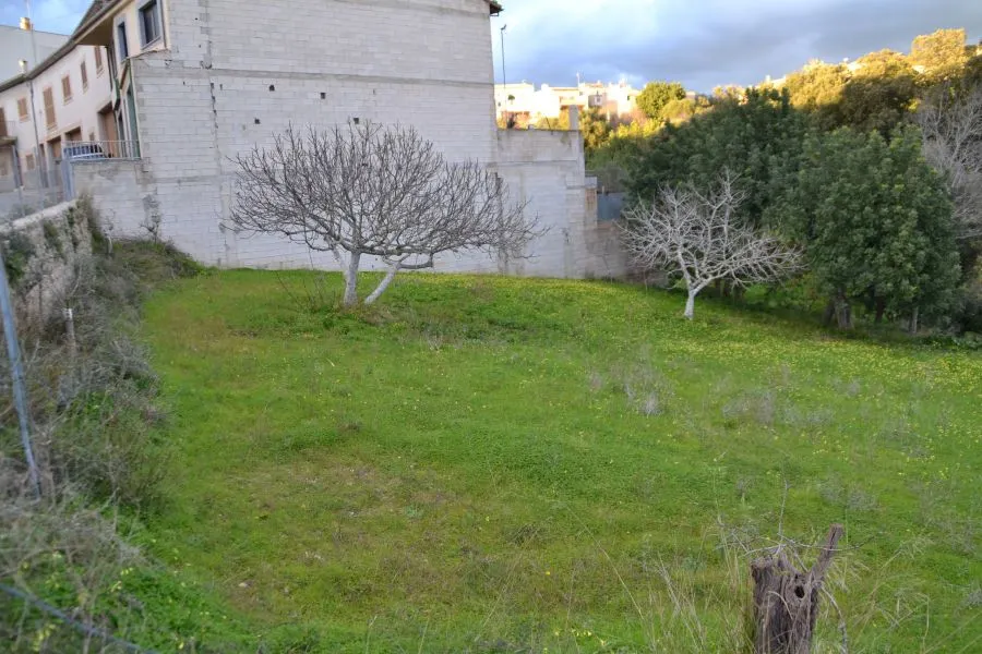 Solar urbanizable en Campanet
