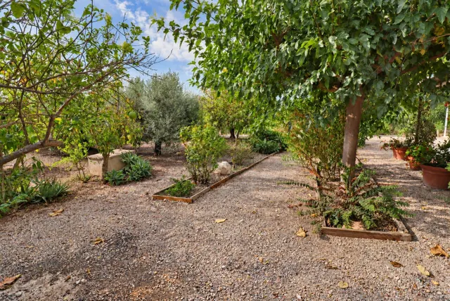 Prat en Las Casas de Alcanar — 14