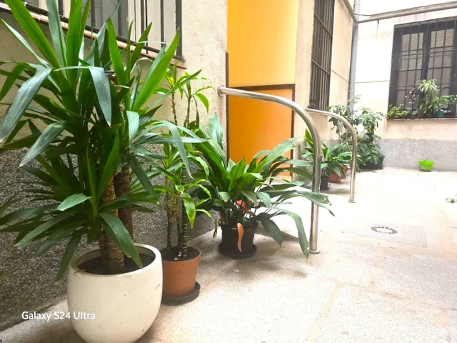 Planta baja 1 habitación 72m² en alquiler - Centro — 23