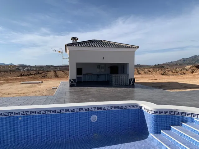 VILLAS DE OBRA NUEVA EN PINOSO — 4