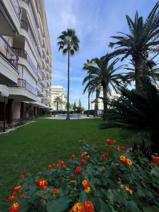 APARTAMENTO  ALQUILER TEMPORAL HASTA EL 30 DE JUNIO — 47