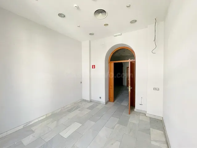 CASA PALACIO EN PLENO CENTRO - foto 2