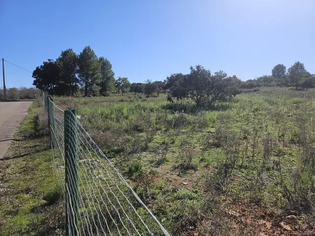 Terreno para recreo vallado y con acceso por camino asfaltado — 8