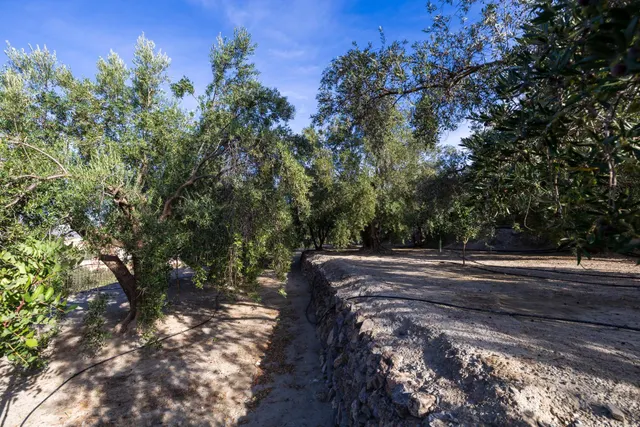 Finca rústica en venta en Pinos del Valle (Valle de Lecrín) — 35