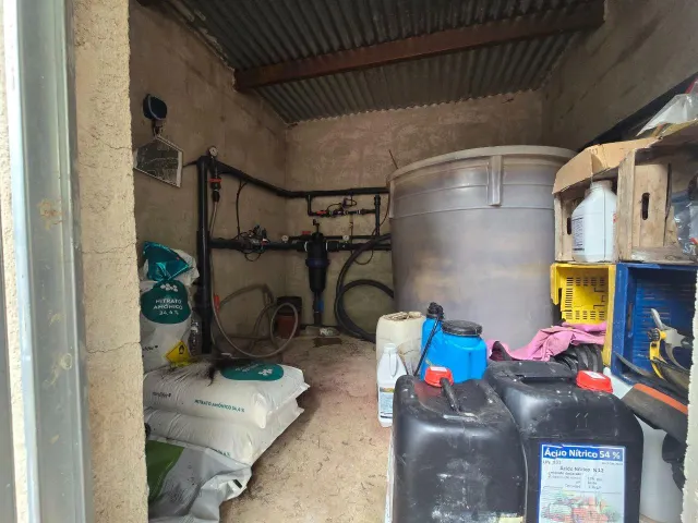 Finca rústica en Blanca | limoneros en producción y para construir vivienda — 14