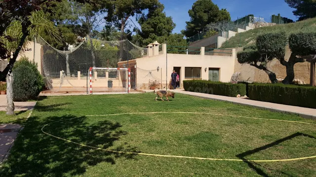 Casa de campo 5 habitaciones 350m² en venta - Huerto de Trav - foto 4