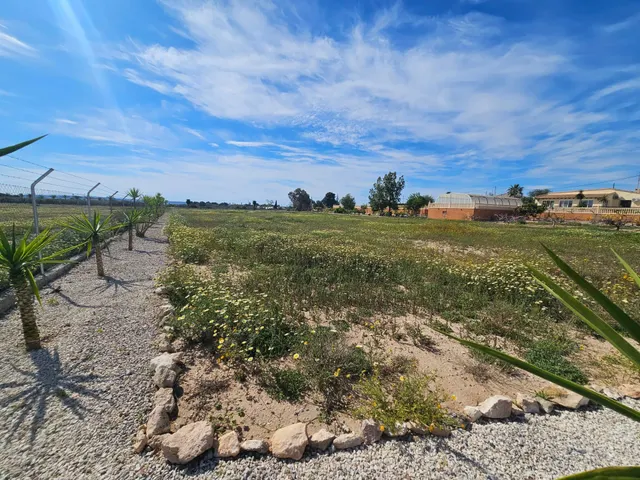INCREIBLE CASA DE CAMPO EN TORRELLANO BAJO ! - foto 4