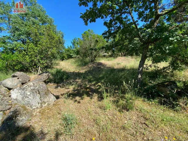 SE VENDE FINCA URBANIZABLE EN LA ZONA DE VELLE — 6
