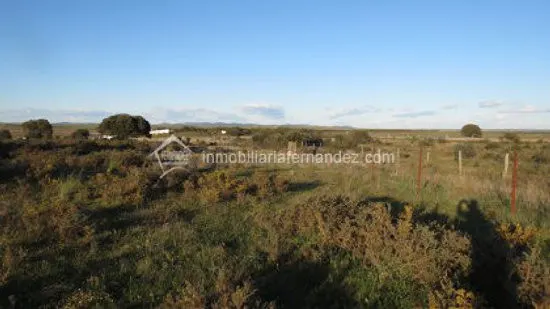 Se vende Finca en la Carretera de Badajoz - foto 5