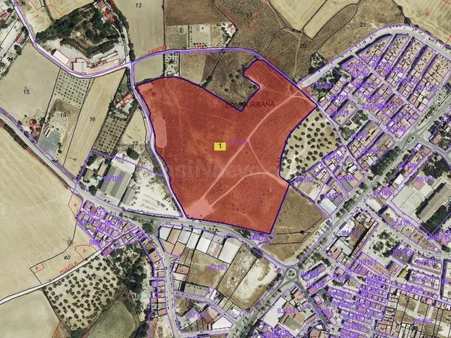 GRAN TERRENO URBANIZABLE EN TRANSFORMACIÓN – INVERSIÓN EN AR - foto 2