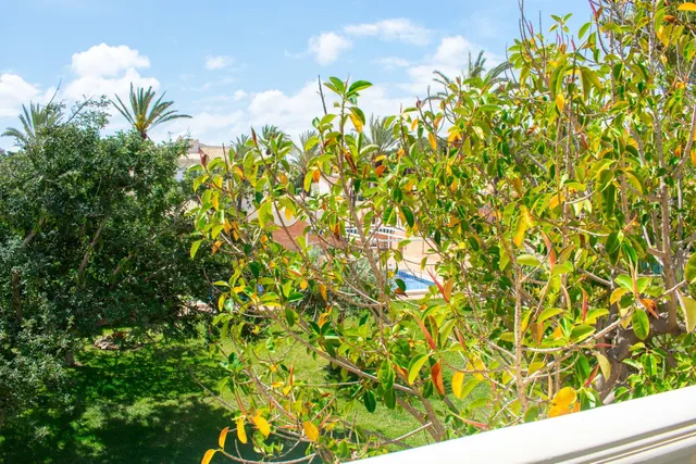 Villa 7 habitaciones 545m² en venta - Costa blanca — 31
