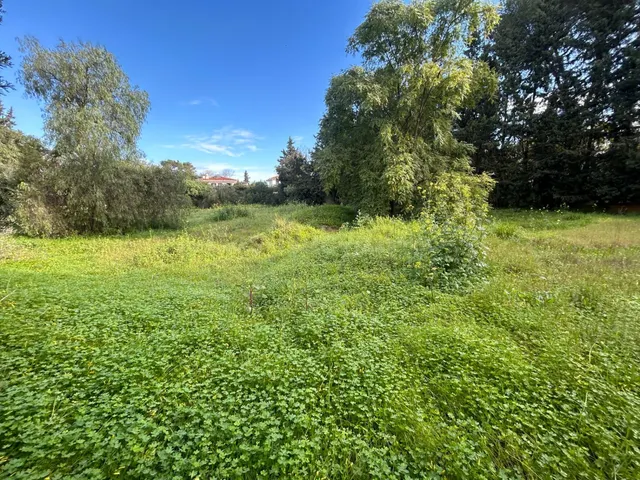 Terreno urbano en venta - Ciudad Aljarafe - foto 2