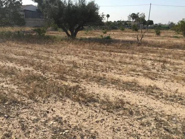 Parcela urbana de casi  30.000m2 en Elche - Zona Pena Las Aguilas — 14
