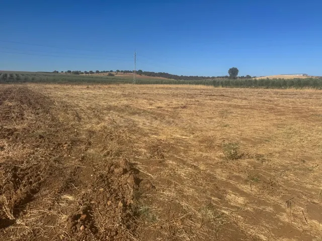 Parcela rustica - foto 4