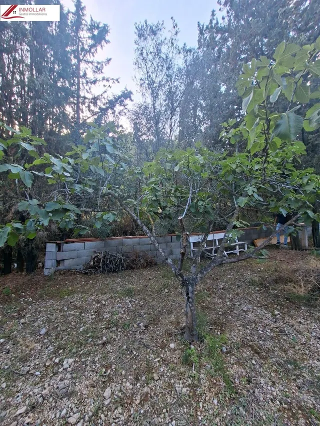 OCASIÓN FINCA RÚSTICA CON DOS CASAS INDEPENDIENTES, IDEAL DOS FAMILIAS!! — 41