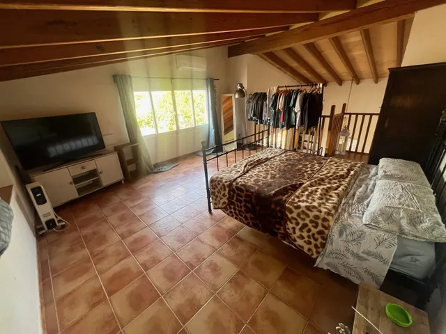 RUSTICA -CON CEDULA DE HABITABILIDAD -EN LLUCMAJOR PUEBLO — 13