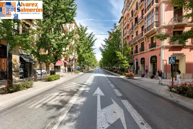 EXCLUSIVA ULTIMA PLANTA CON VISTAS EN GRAN VIA — 2