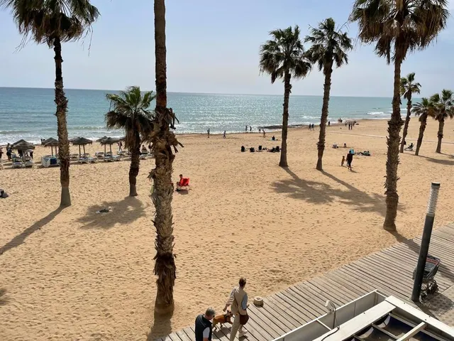 PRIMERA LINEA EN PLAYA LA MATA 3 HABS VISTAS ESPECTACULARES — 25