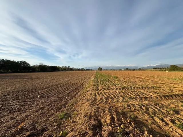 Terreno rústico de 23.000 m2 en Garriguella – Un entorno nat - foto 4