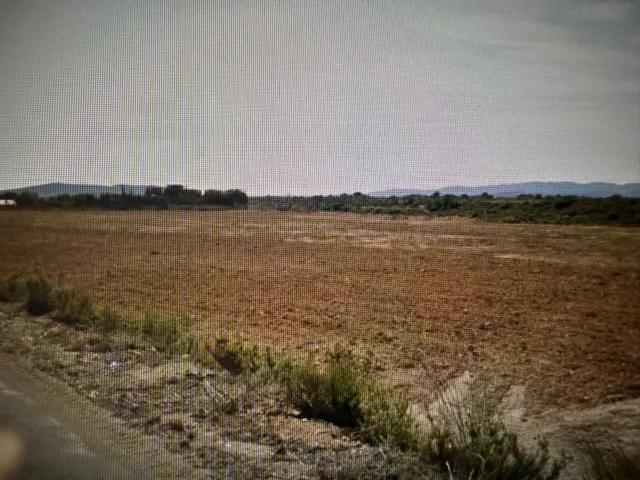 Terreno rustico con caseta - Vinaros - Castellón