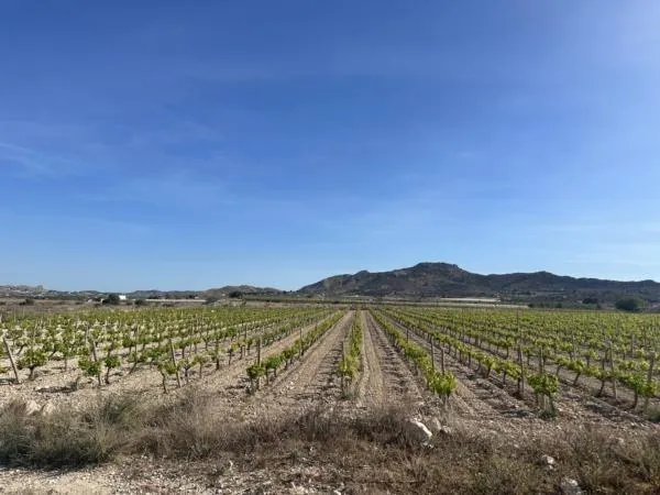 Parcela de terreno — 2