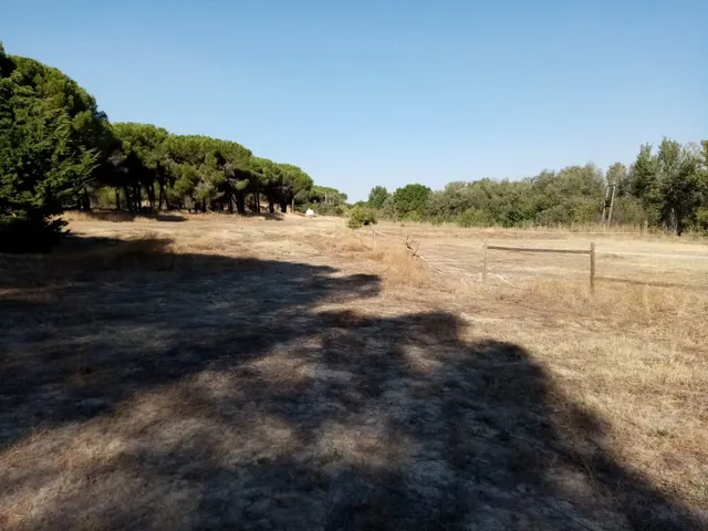 FINCA RUSTICA DE RECREO — 2