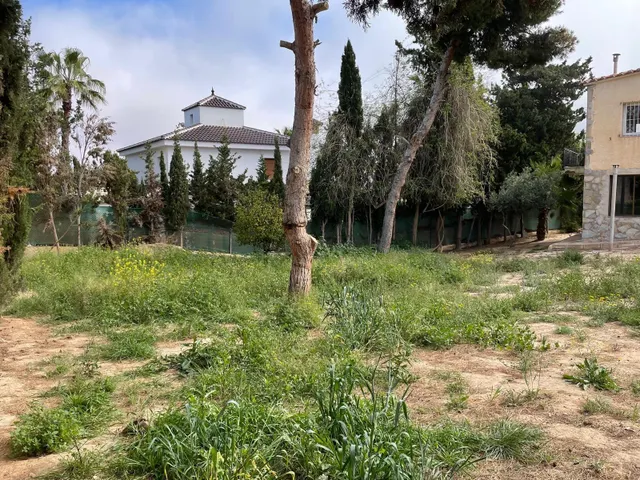 Casa con parcela en Los Balcones, Torrevieja. 5 dormitorios, 2 baños — 12