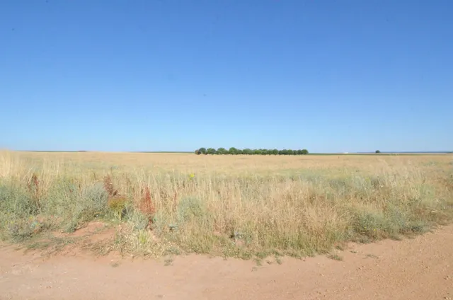 Urbis te ofrece un terreno en venta en Castellanos de Villiquera, Salamanca. — 5